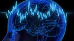 Ilustrasi Gelombang Alfa yang Dihasilkan Otak Manusia, Sumber: hallosehat.com