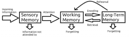 Memory process/wikimedia