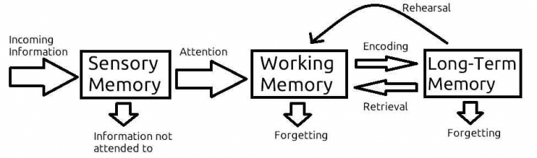 Memory process/wikimedia