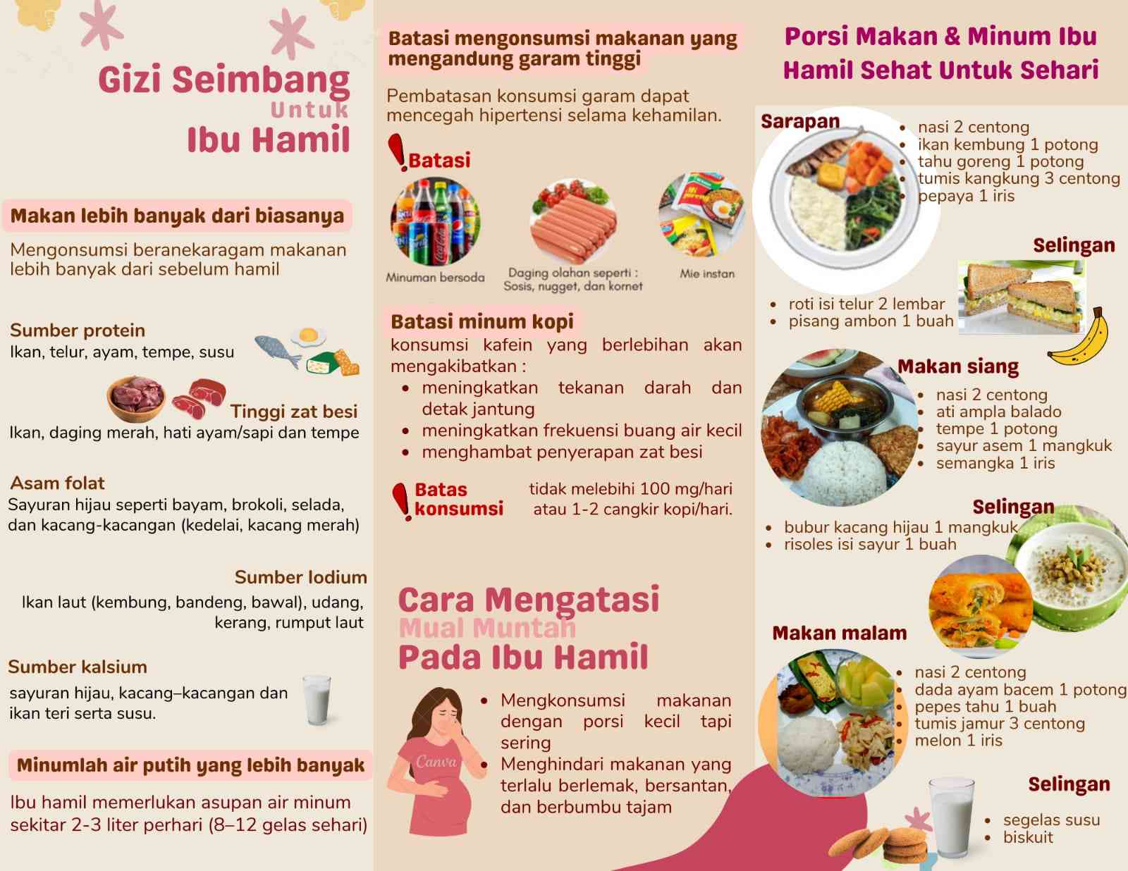 Program Ibu Hamil Sehat Ciptakan Generasi Hebat Sebagai Upaya ...