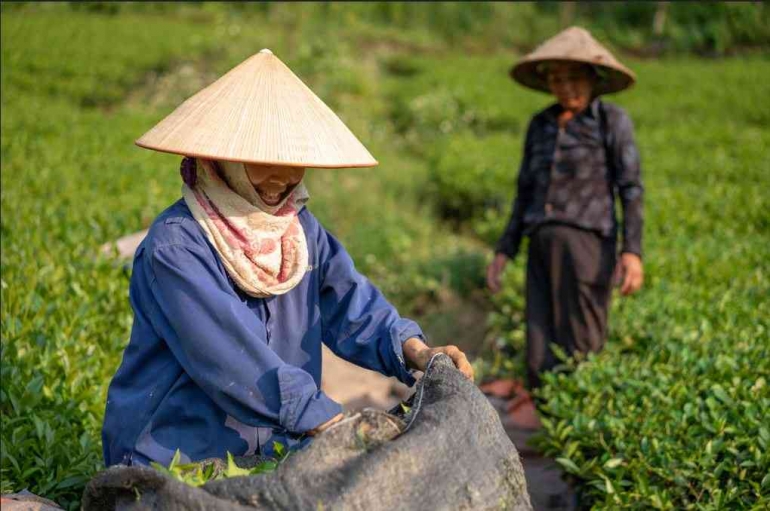 Ilustrasi profesi Petani. Sumber gambar: wirestock di freepik.com 