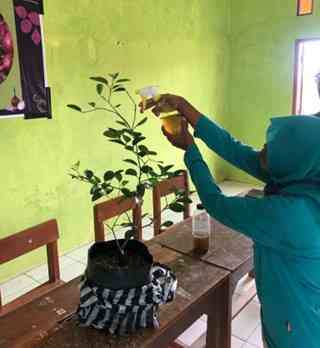 Mahasiswa KKN UNDIP Tingkatkan Awarness Recycle Kulit Bawang Merah ...