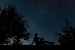Seseorang sedang memandangi langit malam yang berhias bintang-bintang (pixabay.com)
