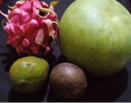 Jeruk bali, buah naga dan alpukat (dok IYeeS) 