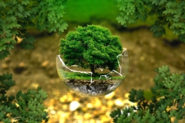 Sustainable Living: Menjaga Lingkungan dengan Gaya Hidup Berkelanjutan.(Pixabay)