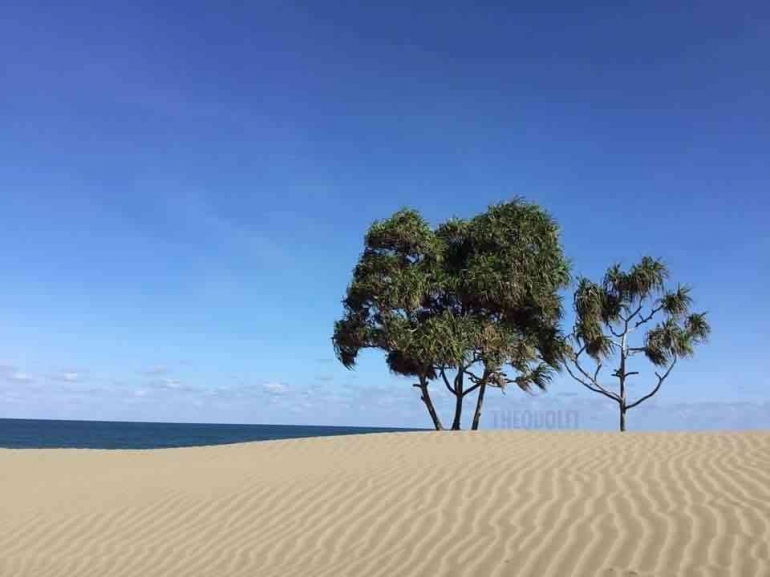 Gundukan pasir di Pantai Oetune (Foto : Theodolfi/dokpri)