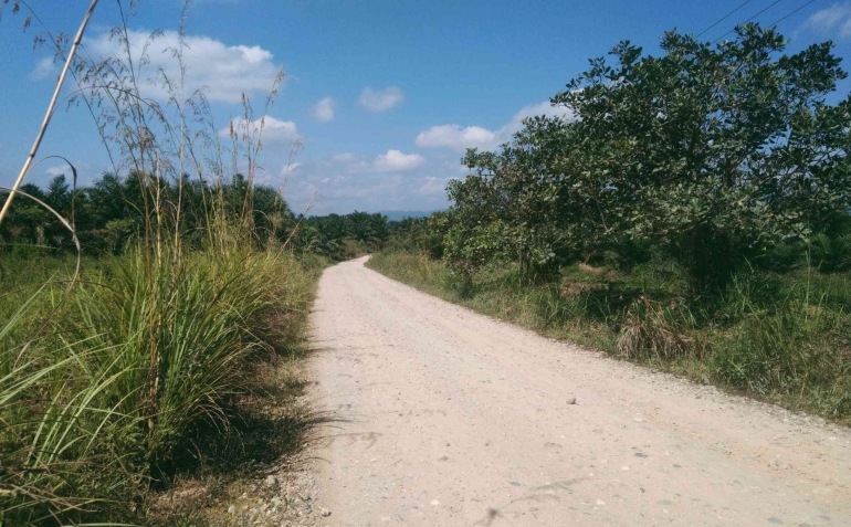 Salah satu ruas jalan daerah di Sulteng yang berstatus tidak mantap. (Dokumentasi pribadi)