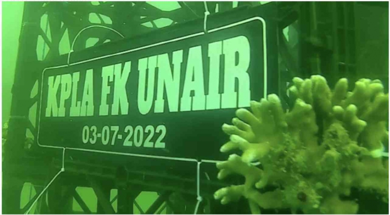 screen-shot-2022-09-28-at-16-07-24-63f0430b08a8b569ef6c02b2.png