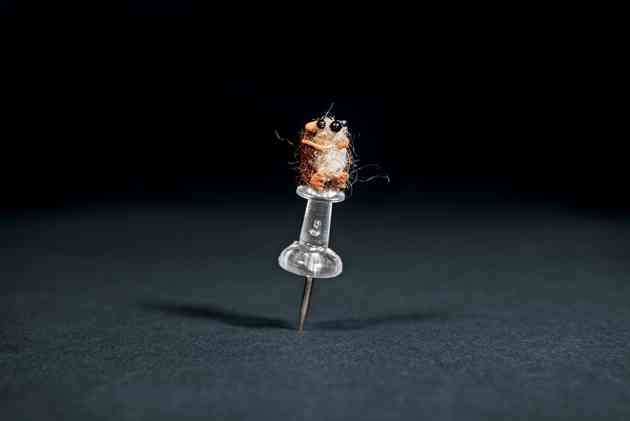 Photographs of miniatures by Lori DeBacker by Thomas Allen (harpers.org)