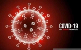 Potret Virus Covid 2019 (sumber : bisnis.com)
