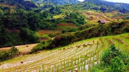 Surga alam di Simbuang. Sumber foto: Dok. Facebook Bernard Eli.