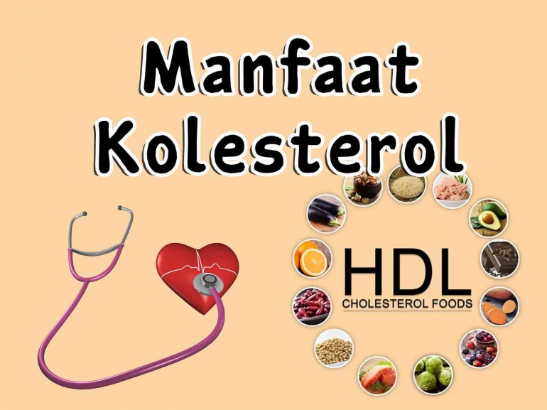 ilustrasi manfaat kolesterol bagi tubuh (sumber gambar: pinterest.com)