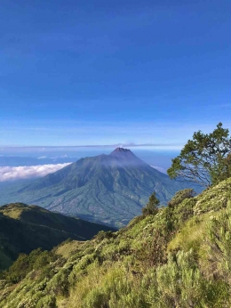 pemandangan dari gunung merbabu. sumber: dok. pribadi 