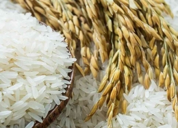 Narasi beras mahal semakin membahana dan 3 motivasi |Dokumen diambil dari trenasia.com