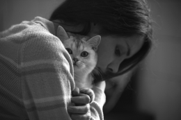 ilustrasi Perempuan dan kucingnya. (sumber: pixabay.com/Ashkan Sadeghi)