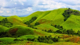 Padang savana nan hijau di perbukitan Bromo. Foto : befreetour.com 