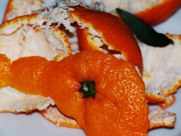 Limbah kulit jeruk sebagai salah satu bahan baku eco enzyme (foto milik pixabay.com)