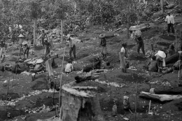 Pembukaan perkebunan di kawasan Priangan sekitar tahun 1907-1937. (National Museum van Wereldculturen (TM 10024157) )