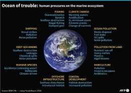 Degradasi lingkungan laut sebagain besar akibat ulah manusia. Sumber: AFP. 