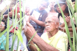Matias Pagang saat memberikan pelatihan proses kawin silang padi kepada petani perempuan dampingan Yakines yang berasal dari ke 12 desa yang tersebar di wilayah Kabupaten Manggarai Barat (Dok. pribadi) 