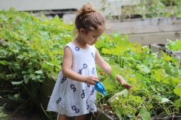 Ilustrasi anak menanam tanaman. By Pexels.com