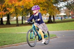 foto dari bicycleassociation.org.uk