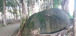 Batu granit diantara pohon (dokpri)
