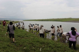 Penanaman Mangrove di kawasan Laguna Pantai Samas (Foto: Nadia Nareswari - Earth Hour Jogja)