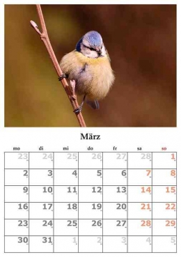 Kalender Bulan Maret| Sumber Photo: pixabay.com