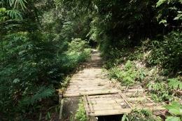 jembatan bambu (dok.pri)