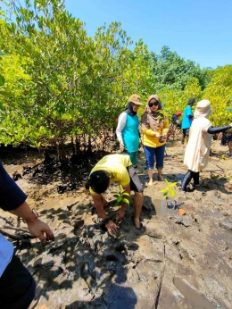 Dokpri David menanam mangrove
