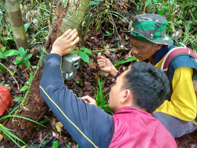Pengecekan dan pemasangan alat pemantau di kawasan hutan desa. (Foto dok. Robi Kasianus/Yayasan Palung).