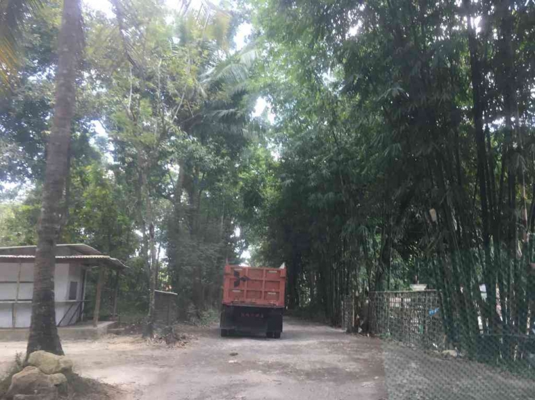 Jalan menuju Bukit Jaddih: dokpri