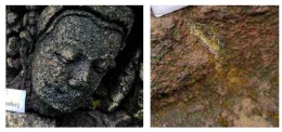 Ilustrasi batuan non-deteriorasi (kiri) dan ditumbuhi jamur mikroskopis (kanan). Sumber : Munawati dkk., 2021