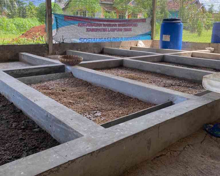 Tempat budidaya maggot pak Santoso di desa Sadar Sriwijaya