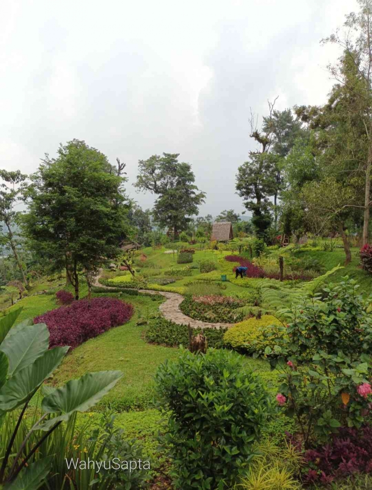 Hamparan rumput dengan berbagai jenis bebungaan membuat jatuh hati. | Foto: Wahyu Sapta.