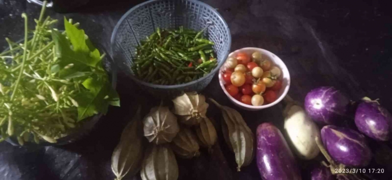 Panen lebih awal dari perkiraan bulan Ramadan, namun masih ada hasil lain yang bakal dipanen selama Ramadan (dok foto: Ibu Suprapti/RT 2 Â Bukit Jambi)