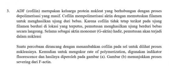 Soal prediksi KSK Biologi 2023 nomor 03 bagian pertama. Dokpri