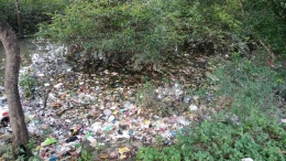 Gambar Kerusakan Ekosistem Sungai akibat sampah yang dibuang kesungai, gambar diambil oleh aulia liosty mayesta pada 22 maret 2023
