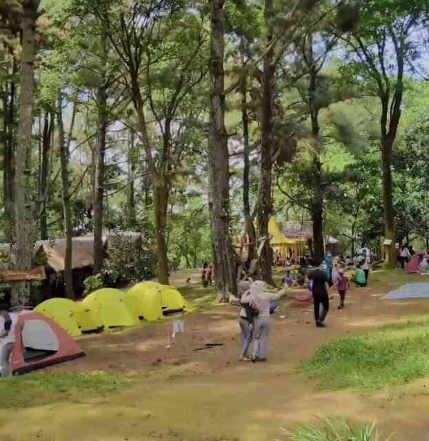 Pijar (sumber: jajandolan.com)