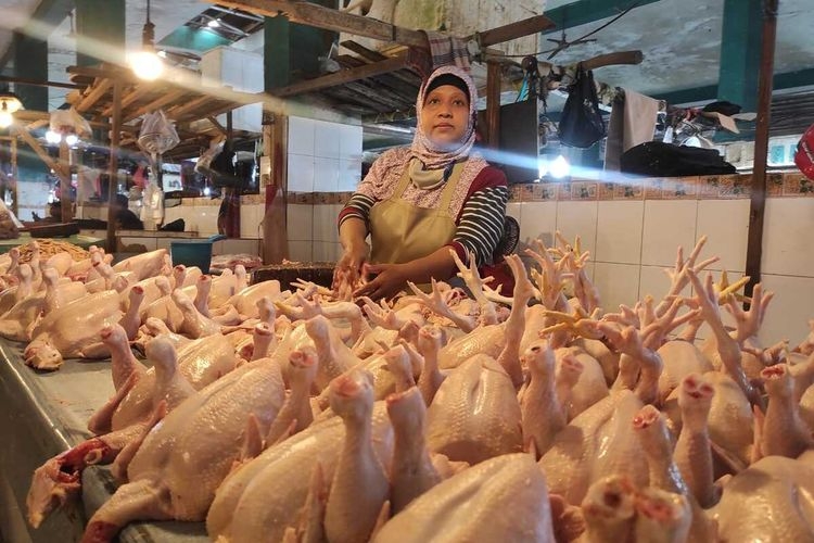 Pedagang ayam potong| Kompas.com/Ahmad Riyadi