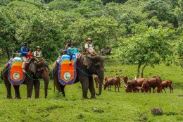 Ilustrasi Berliburan di Taman Safari Indonesia (Sumber: Kompas.com)
