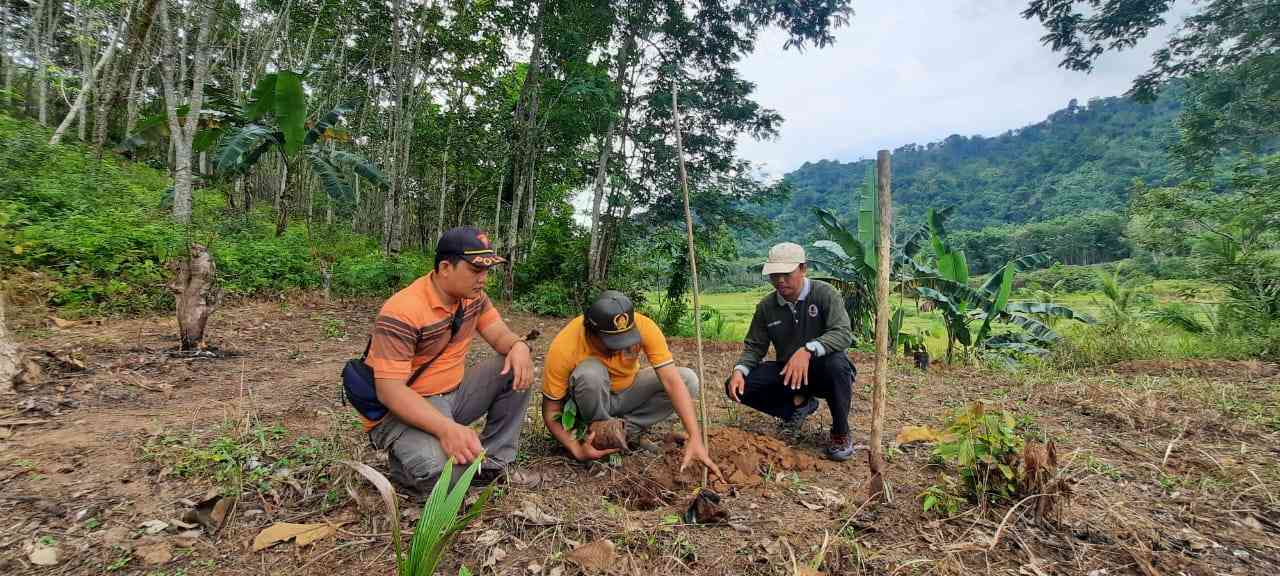 Gambar Kegiatan Menanam Pohon. dokpri