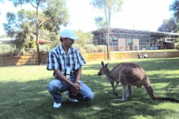 Kang Guru bertemu Kanguru. Caversham Zoo, Perth. Foto Dokumen prbadi.