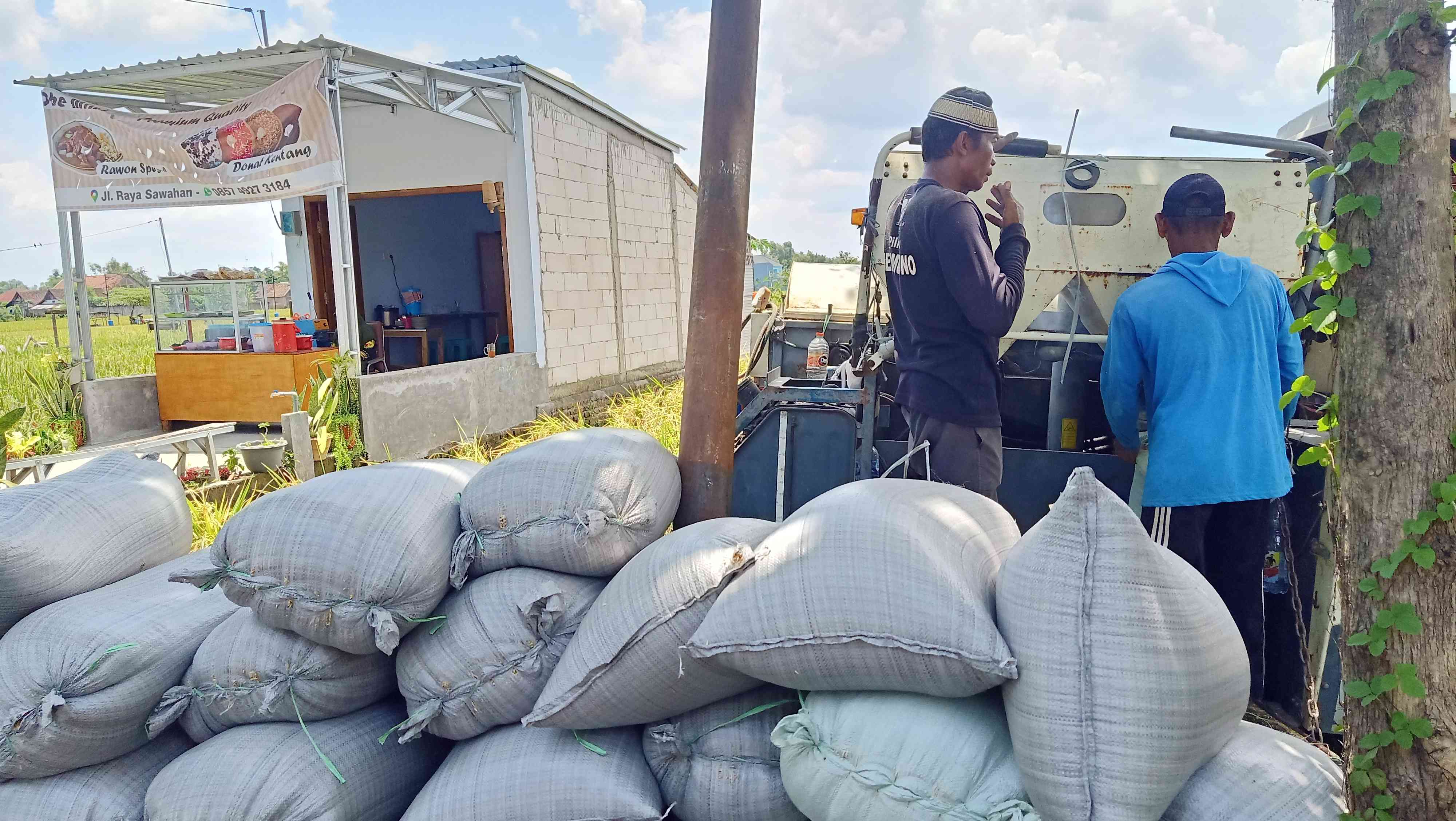 Pekerja yang siap angkat gabah ke truk. Foto dokpri