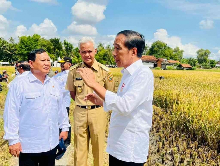 Presiden Joko Widodo bersama Prabowo Subianto dan Ganjar Pranowo saat meninjau panen raya di Desa Lajer, Kecamatan Ambal, Kabupaten Kebumen (Setpres) 