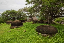 Batu-batu bundar megalitik di Desa Adat Namata, Sabu tengah. Foto : thespicerouteend.com