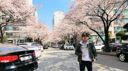 Foto Bunga Beotkkot (Sakura) bersama Zeini di Samping Jinghe-shi Apate, Ansan, Korea Selatan. Dokumen pribadi