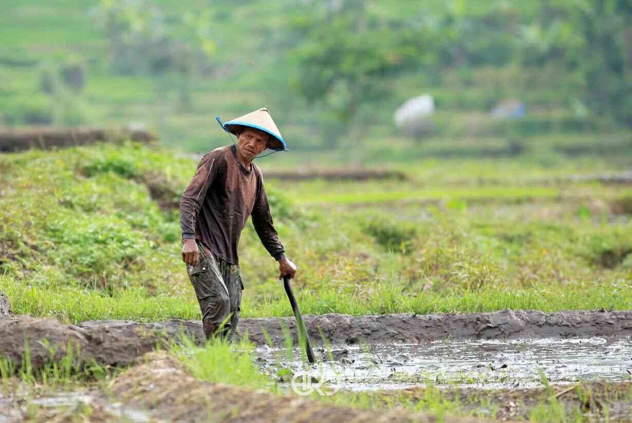 Petani Tradisional (httpsi.pinimg.com)