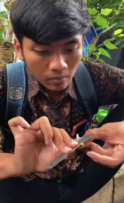 Sumber: Dokumentasi Pribadi (Penyampaian Materi dan Praktik Sambung Pucuk)